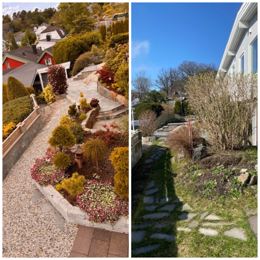 photo-collage.png (1)